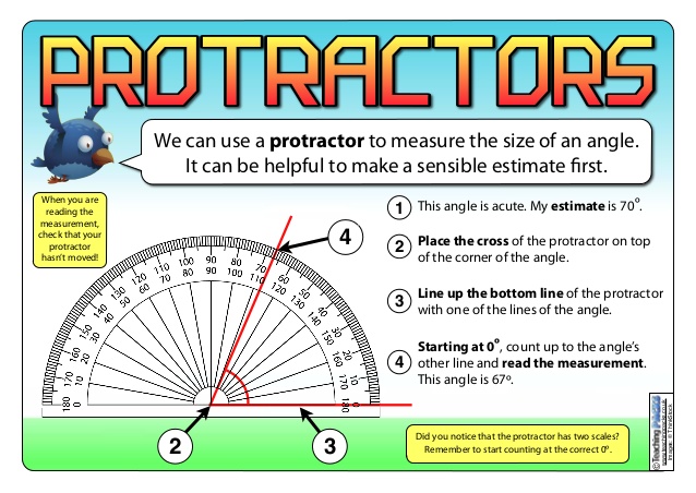 measuring angles with a protractor